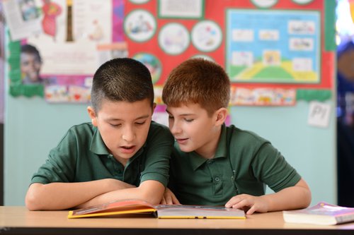 Boys studying book