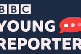 BBC Young Reporter.PNG