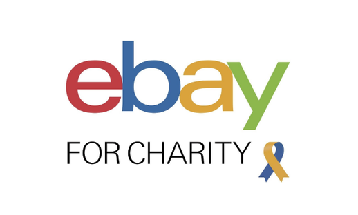 ebay for charity